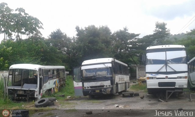 En Chiveras Abandonados Recuperacin 308 por Jess Valero