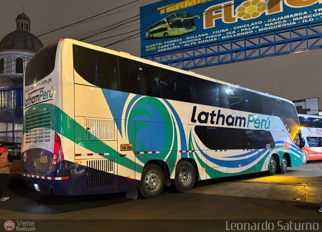 Latham Per� 966 por Leonardo Saturno