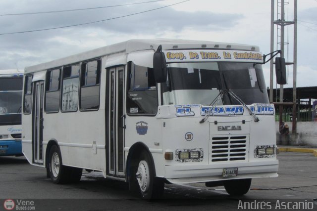 Coop. de Transporte La Candelaria 31 por Andrs Ascanio
