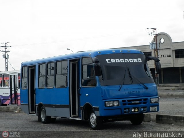 Particular o Desconocido 16 por Aly Baranauskas