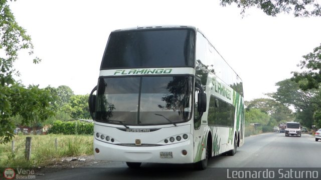 Expresos Flamingo 0171 por Leonardo Saturno