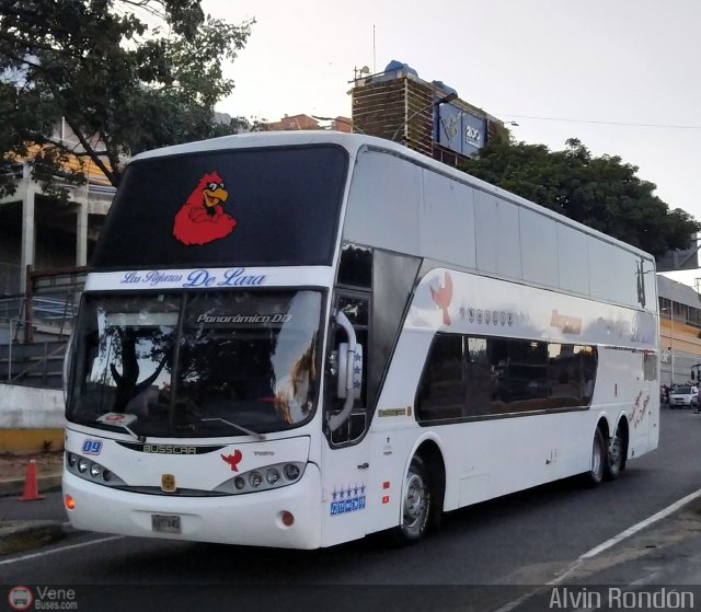 Los P�jaros de Lara 009 por Alvin Rond�n