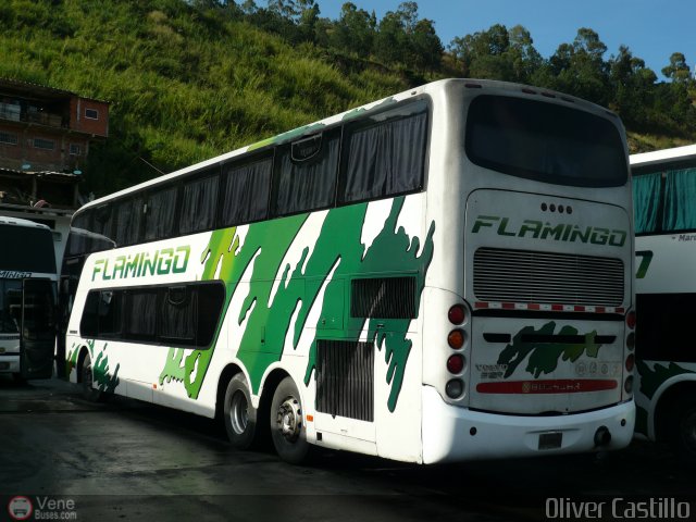 Expresos Flamingo 0171 por Oliver Castillo