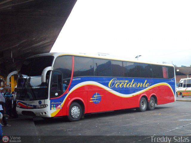 Expresos Occidente 141 por Freddy Salas