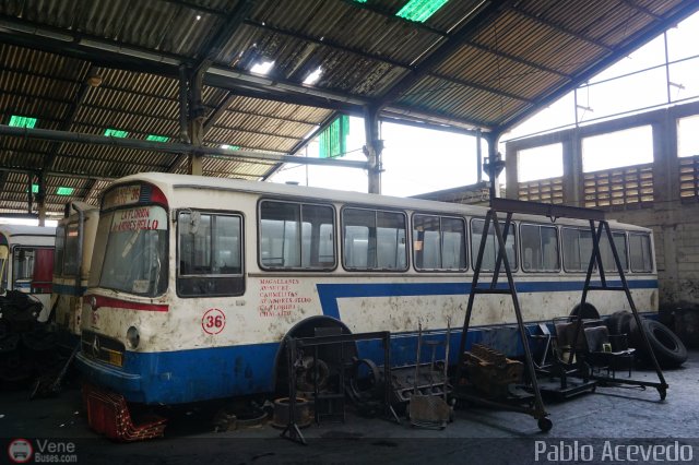 En Chiveras Abandonados Recuperación 036 por Pablo Acevedo