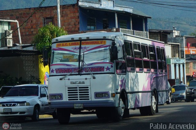 TA - A.C. Línea Intercomunal 59 por Pablo Acevedo