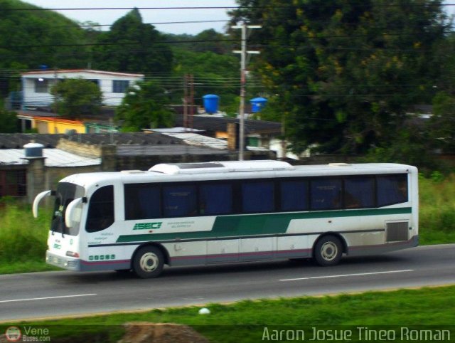 Servicios Especiales del Centro C.A. 39 por Alvin Rondn