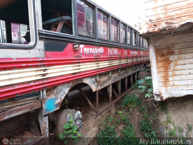 En Chiveras Abandonados Recuperaci�n 01 por Aly Baranauskas