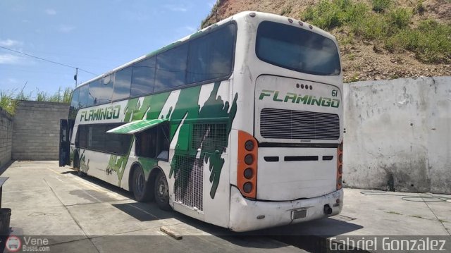 Expresos Flamingo 0061 por Gabriel Gonz�lez