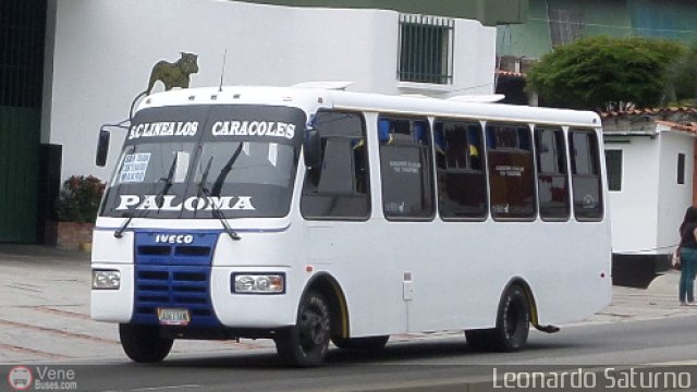 Lnea Los Caracoles 03 por Leonardo Saturno