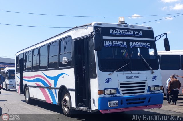 Transporte Mixto Chirgua 0030 por Aly Baranauskas