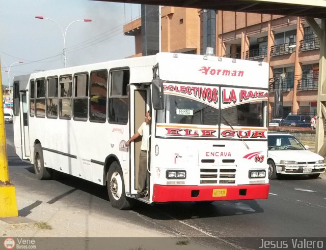 Colectivos La Raiza C.A. 05 por Jes�s Valero