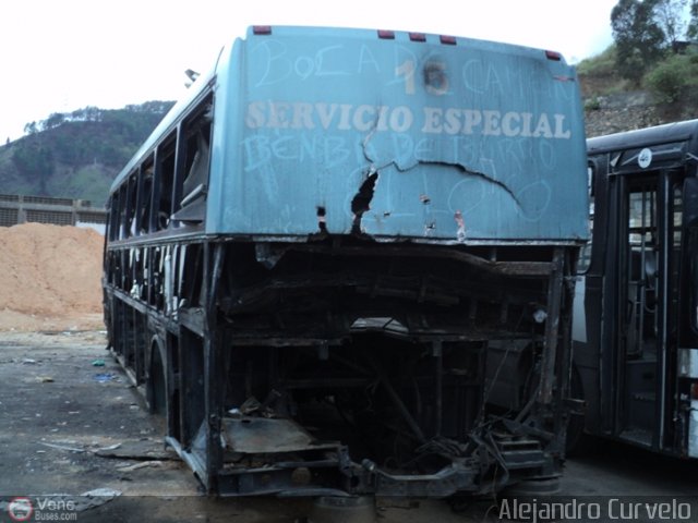 R�pidos Maracaibo 15 por Alejandro Curvelo