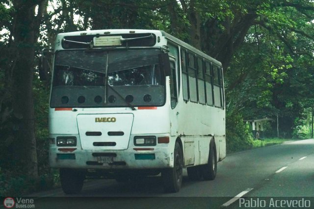 Particular o Desconocido Miranda por Pablo Acevedo