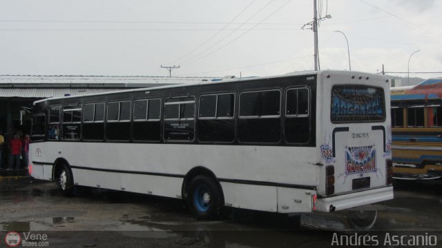 Transporte Guacara 0142 por Andr�s Ascanio