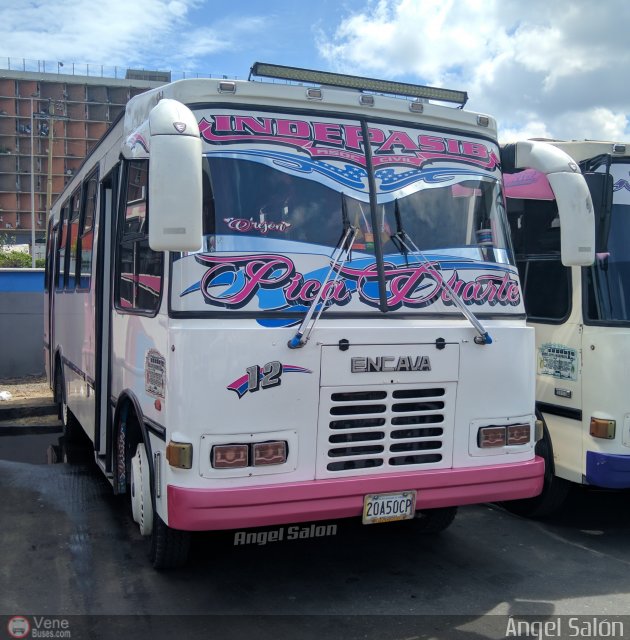 A.C. Indepasib 012 por �ngel Sal�n