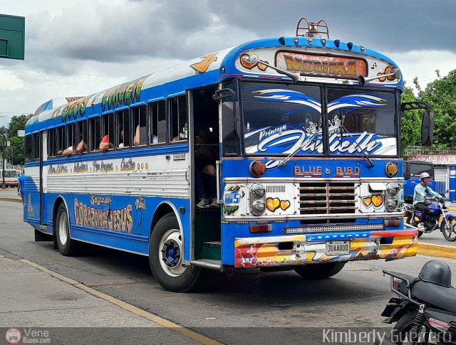 Transporte Palo Negro La Morita 2 105 por Kimberly Guerrero