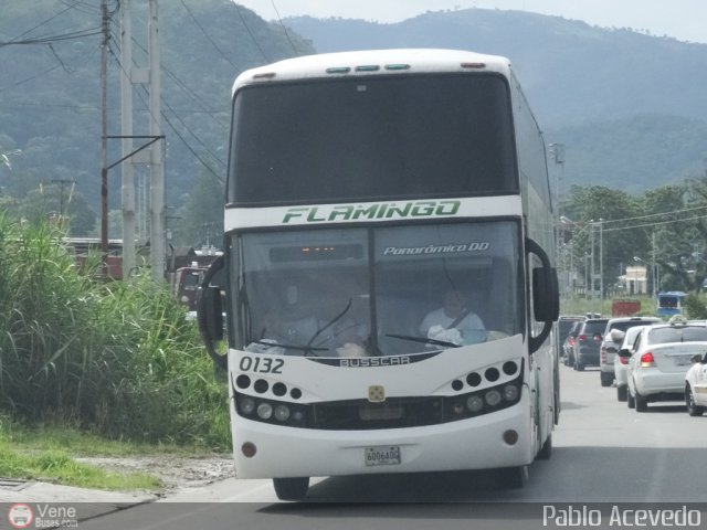 Expresos Flamingo 0132 por Pablo Acevedo
