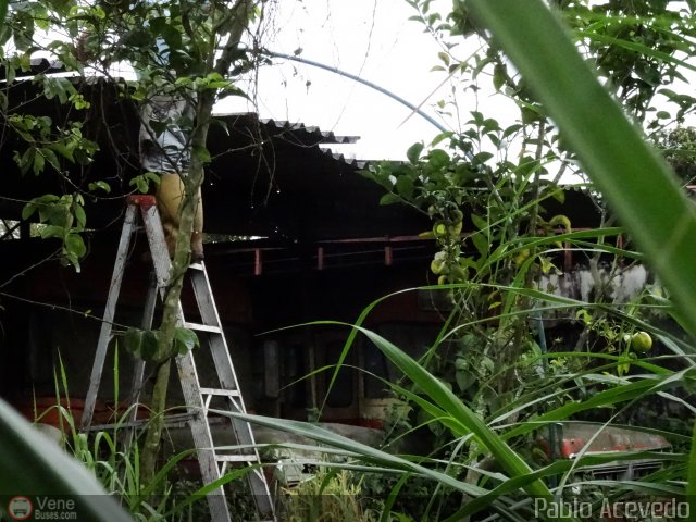 En Chiveras Abandonados Recuperaci�n  por Pablo Acevedo