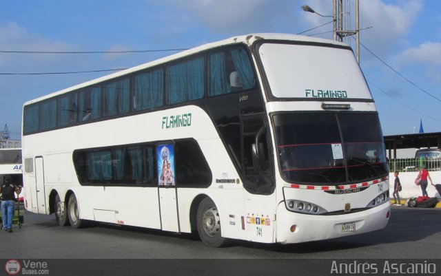 Expresos Flamingo 0741 por Andr�s Ascanio