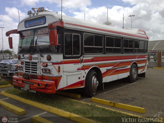 AN - A.C. de Conductores Divino Nio 303 por Victor Guarisma