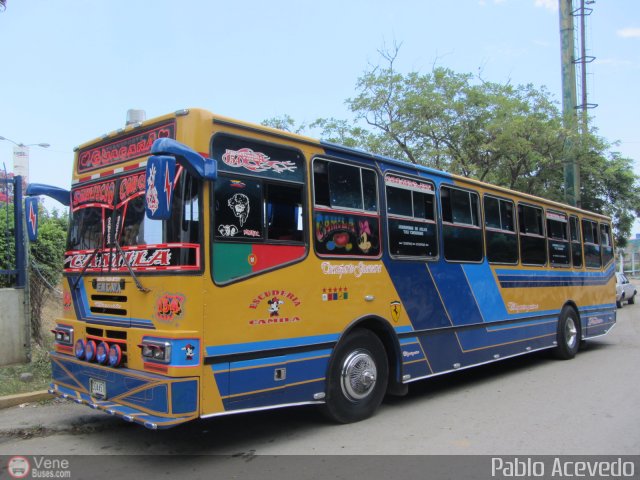 Transporte Guacara 0154 por Pablo Acevedo