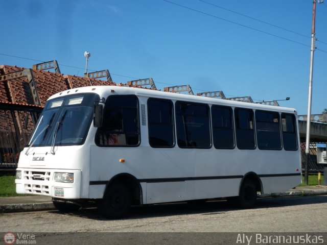 Particular o Desconocido 022 por Aly Baranauskas