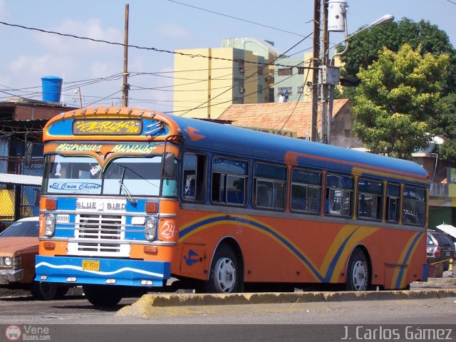 Colectivos Perij� 24 por J. Carlos G�mez