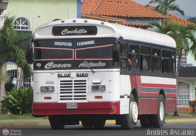 AR - U.C. Hospital - Terminal 52 por Andr�s Ascanio