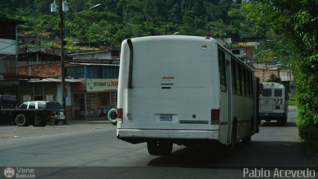 TA - Uni�n Transporte El Corozo S.A. 89 por Pablo Acevedo