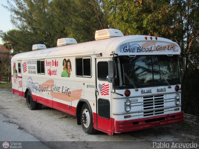 Uso Oficial 01 por Pablo Acevedo