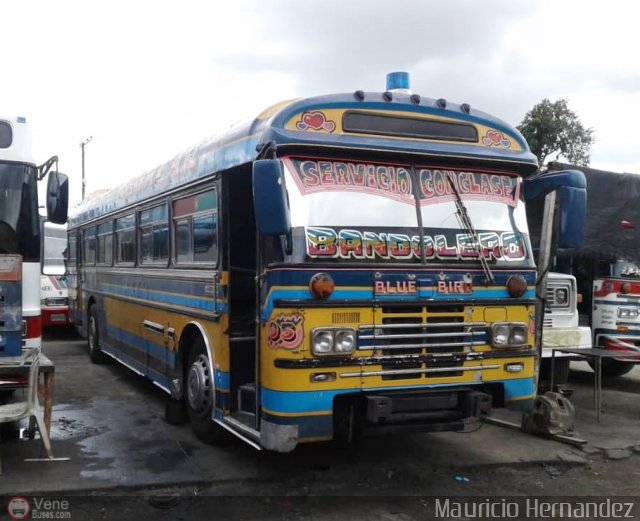 Expresos Nirgua 0095 por Eduard Delgado