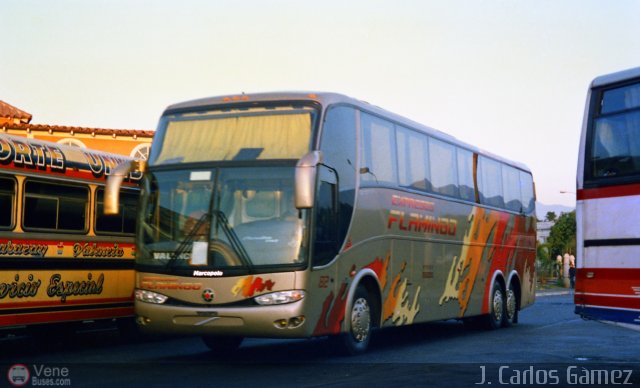 Expresos Flamingo 82 por Pablo Acevedo