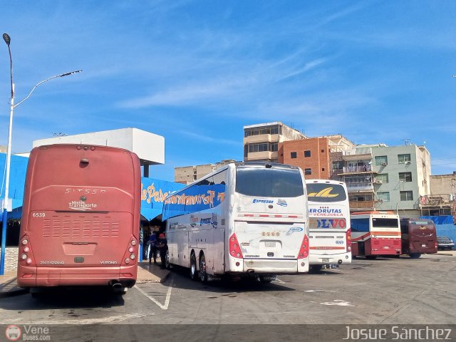 Garajes Paradas y Terminales Puerto-la-Cruz  por Josue S�nchez