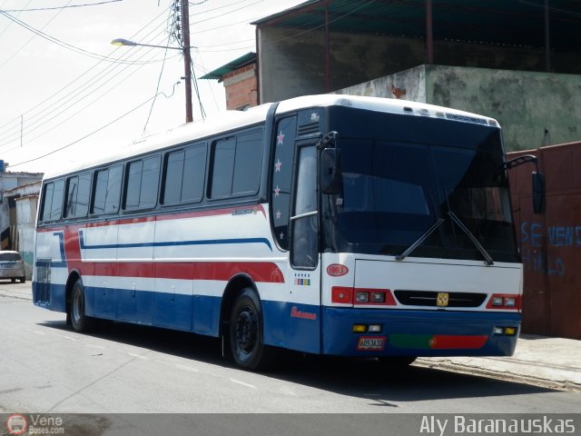 Particular o Desconocido 1003 por Aly Baranauskas