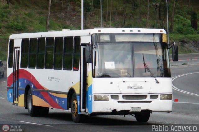 Uso Oficial 10 por Pablo Acevedo