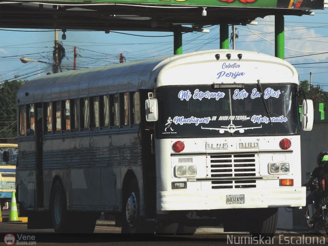 Colectivos Perij� 07 por Numiskar Escalona