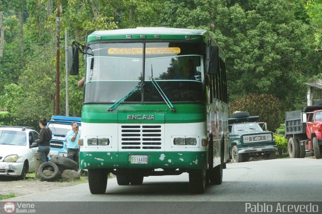 A.C. L�nea Mariscal 29 por Pablo Acevedo