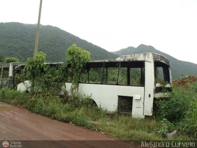 En Chiveras Abandonados Recuperaci�n 5036 por Alejandro Curvelo