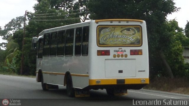 S.C. L�nea Transporte Expresos Del Chama 203 por Leonardo Saturno