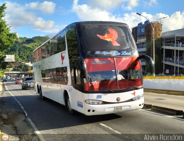 Los P�jaros de Lara 035 por Alvin Rond�n