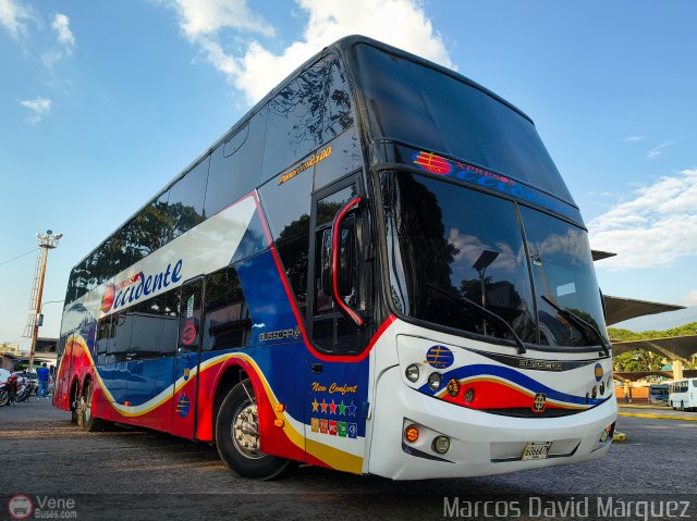 Expresos Occidente 500 por Marcos David M�rquez