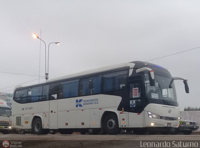 Transportes Koochoy S.A. 954 por Leonardo Saturno