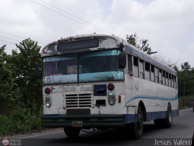 Colectivos La Raiza C.A. 02 por Jes�s Valero