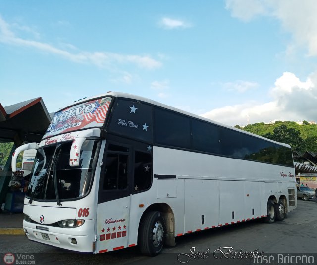 Expresos Alianza 016 por José Briceño