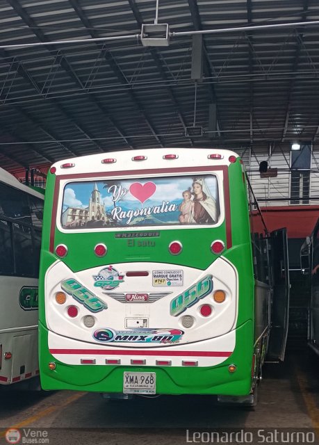 Particular o Desconocido 056 por Leonardo Saturno