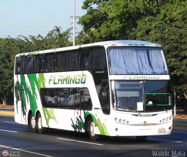 Expresos Flamingo 0171 por Waldir Mata