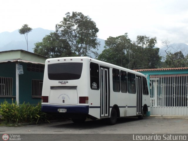 S.C. L�nea Transporte Expresos Del Chama 123 por Leonardo Saturno