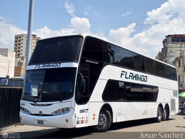 Expresos Flamingo 0088 por Josue S�nchez