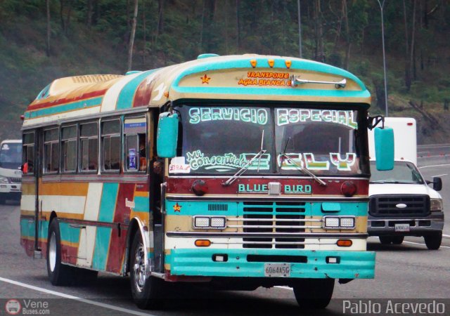 Transporte Agua Blanca 46 por Pablo Acevedo